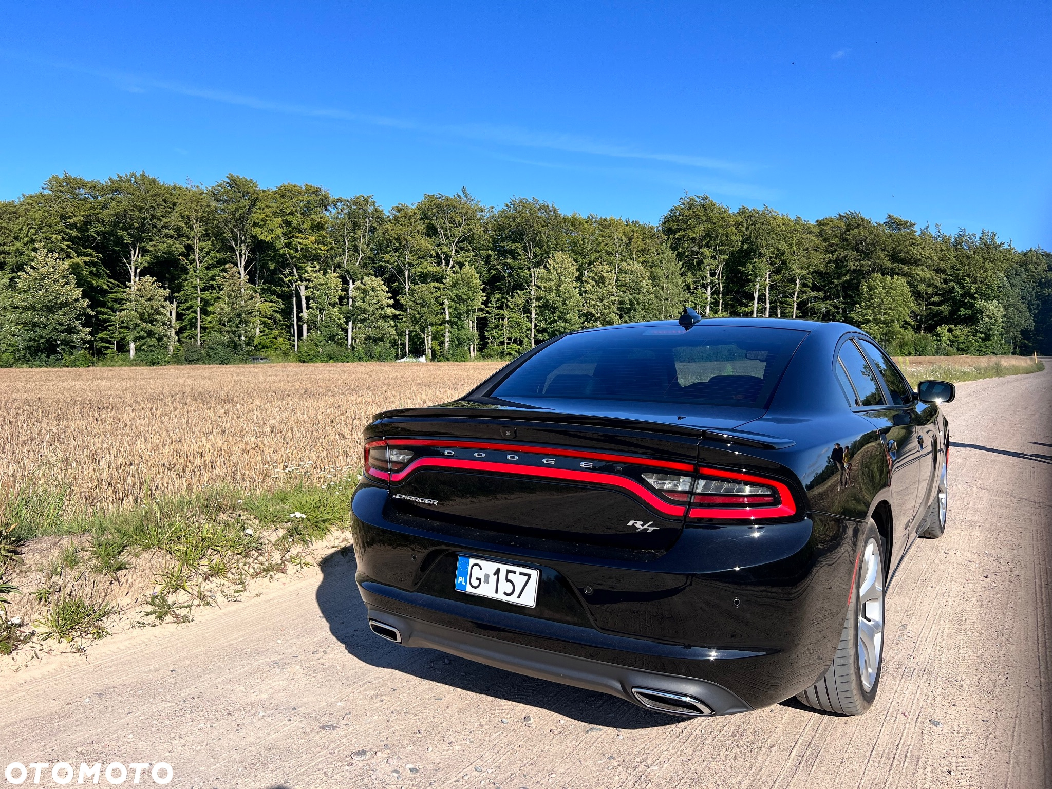 Dodge Charger - 6