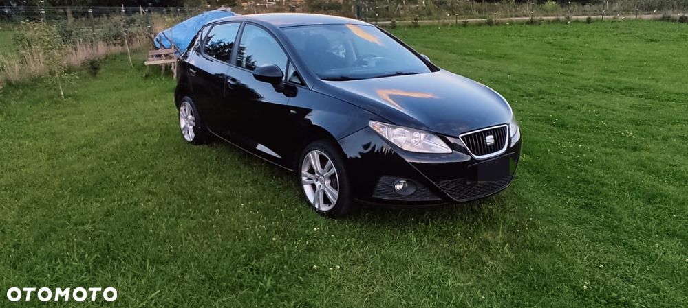Seat Ibiza 2008 photo 4