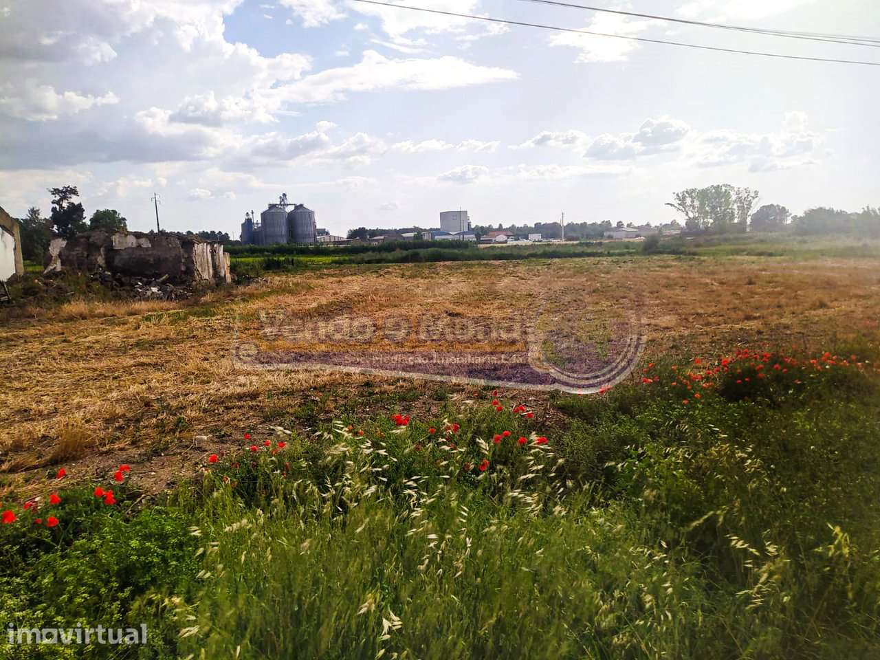 Terreno Agrícola em Salvaterra de Magos (S438) - Grande imagem: 3/4