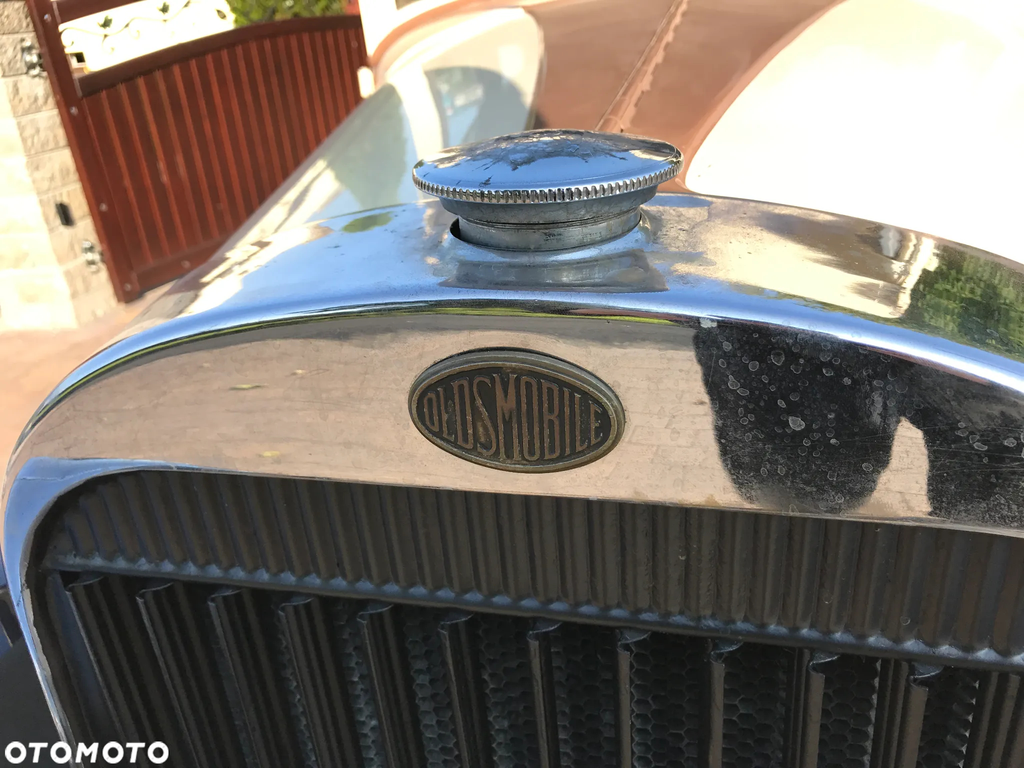 Oldsmobile Inny - 3