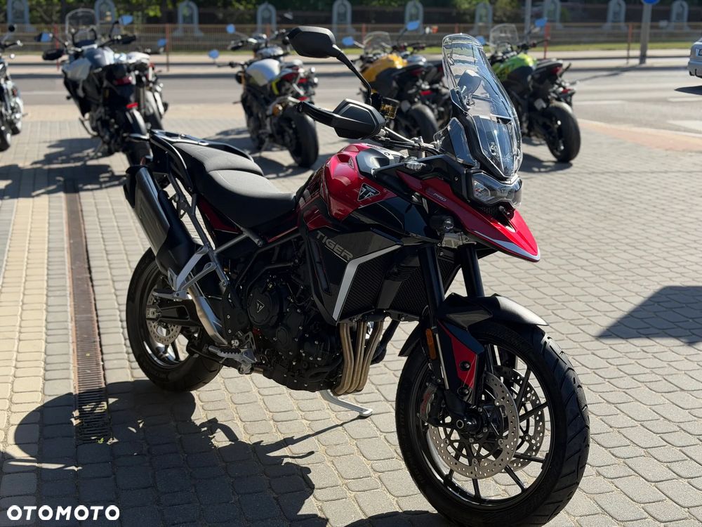 Triumph Tiger - 16