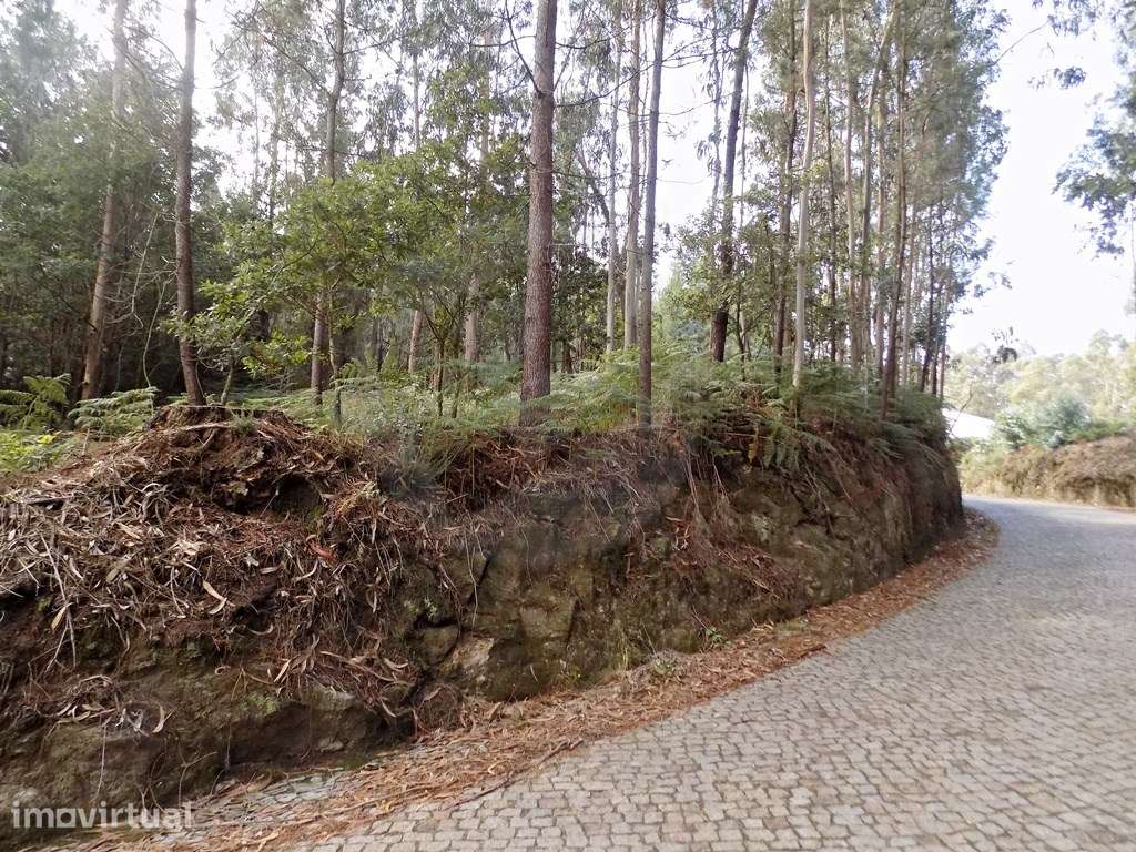 Terreno com mais de 15000 m2 - Grande imagem: 3/14