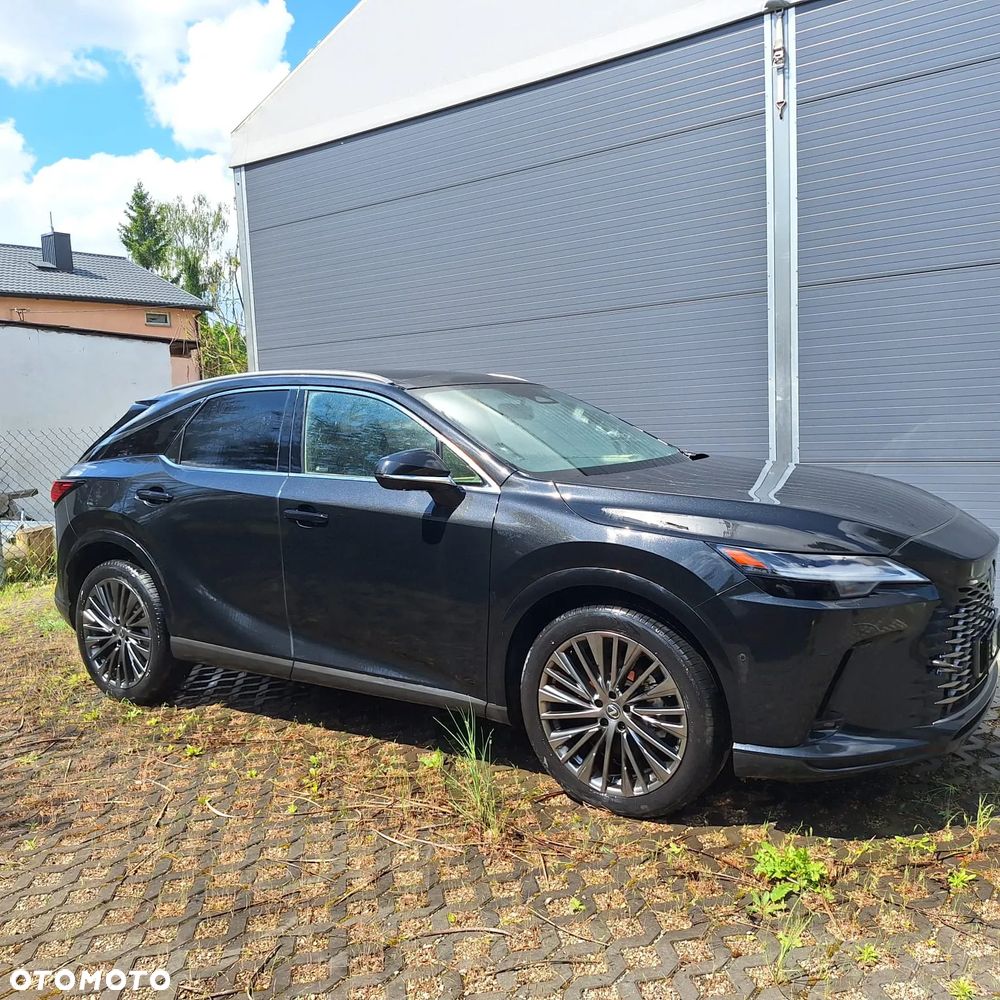 Lexus RX - 14