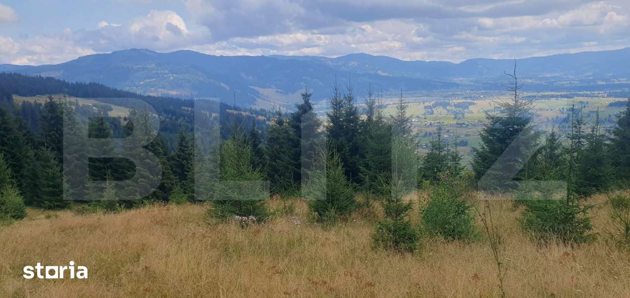 Teren extravilan de vanazre, 42.152 mp, zona Saru Dornei - Imagine principală: 2/9