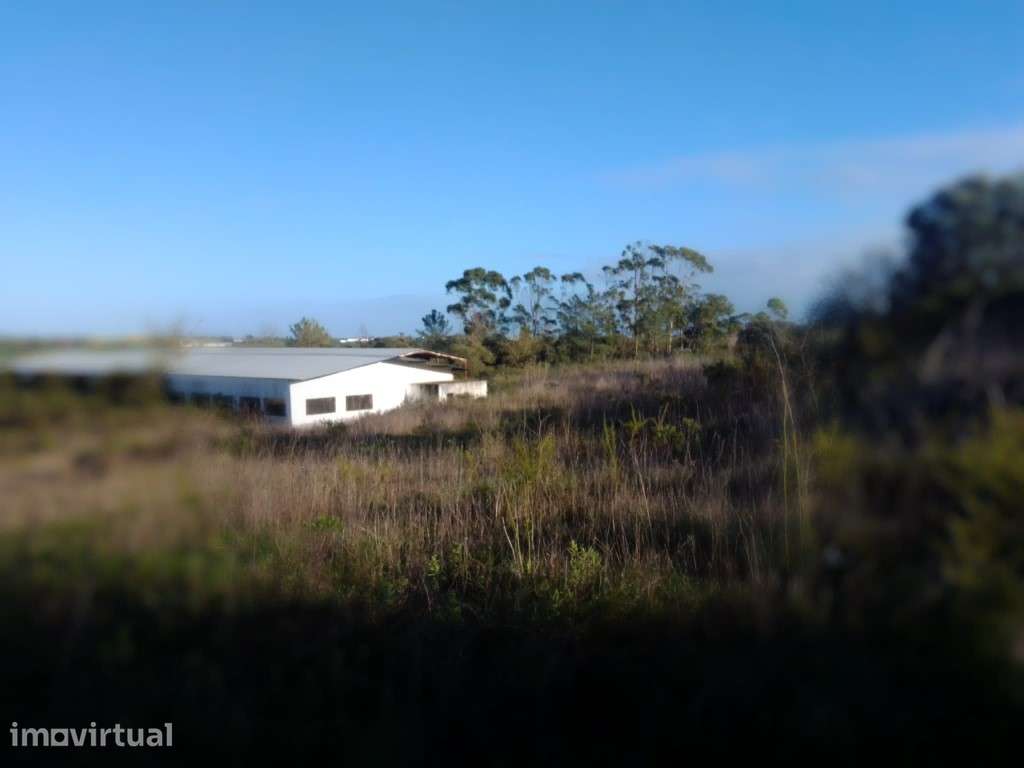 Terreno rustico com cerca de 120.000 m2 em Santarém - Grande imagem: 3/10