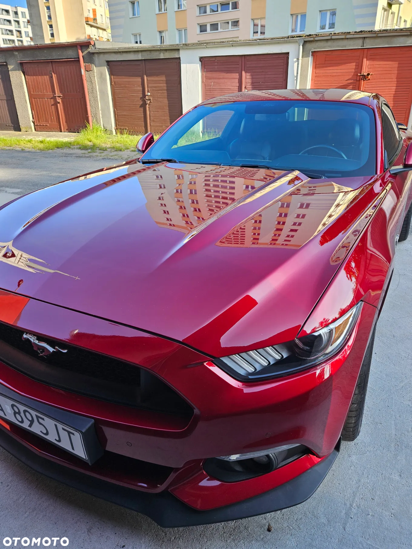Ford Mustang 5.0 V8 GT - 3
