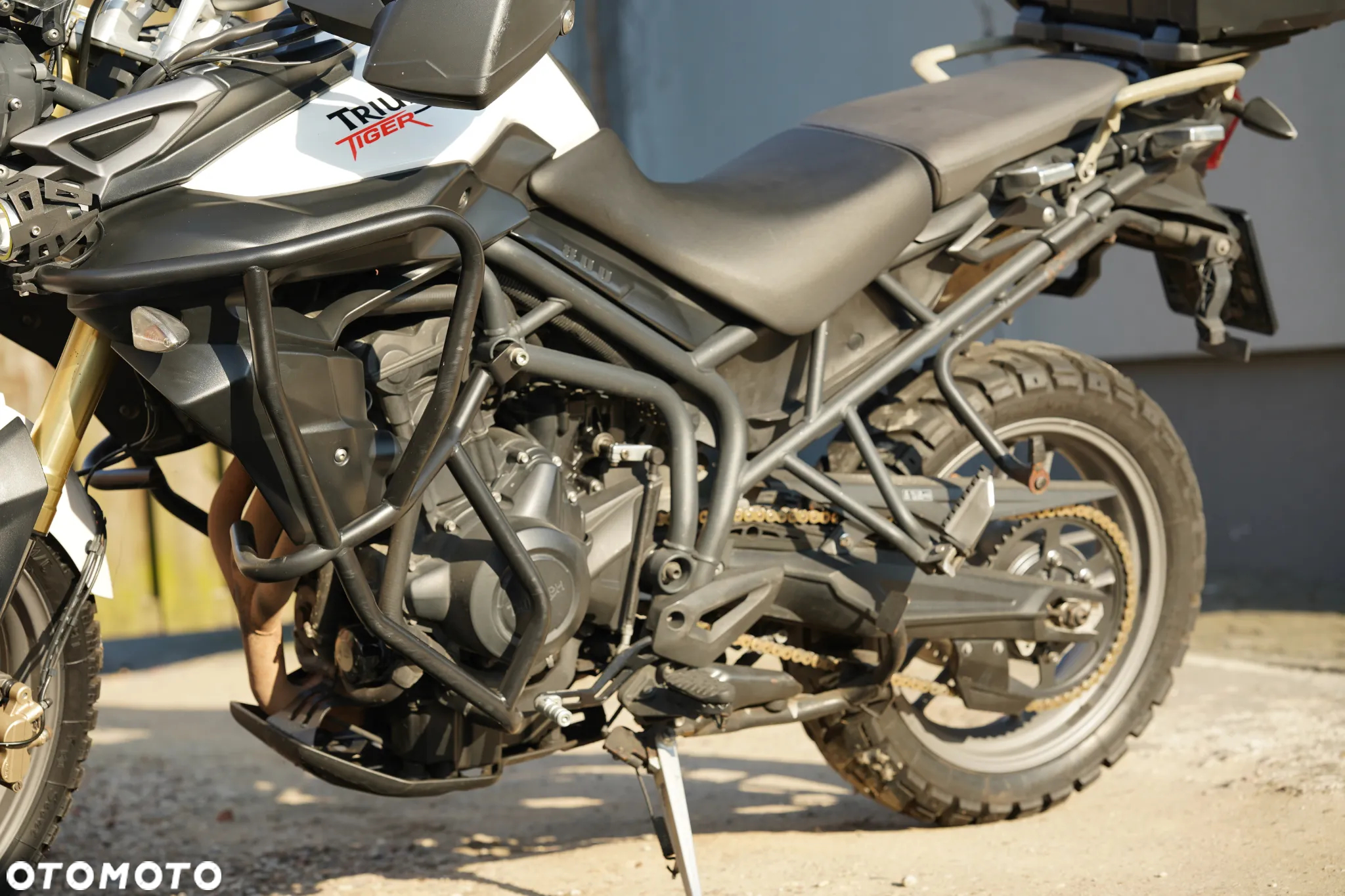 Triumph Tiger - 12