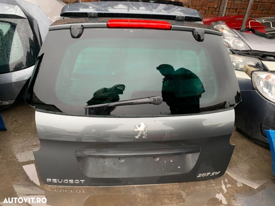 Vand haion Peugeot 207 SW - 1