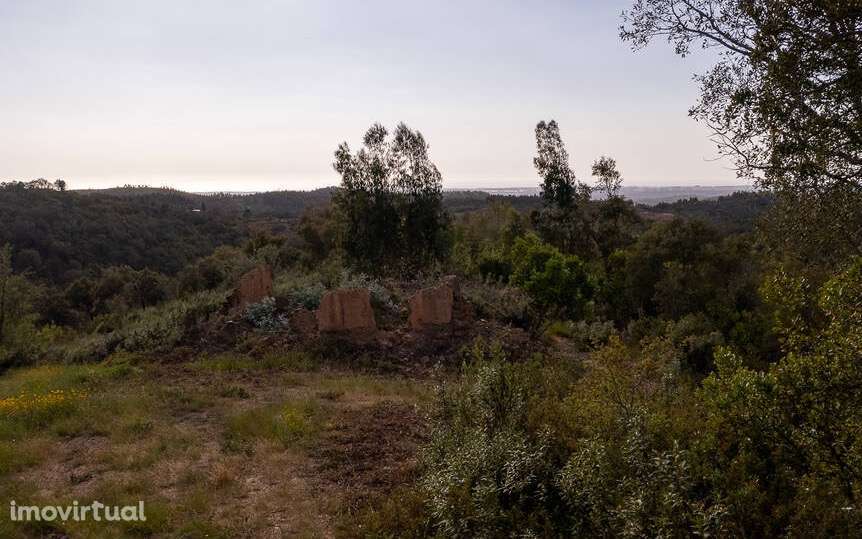 Quintinha Cercas do Pontal - Grande imagem: 4/7