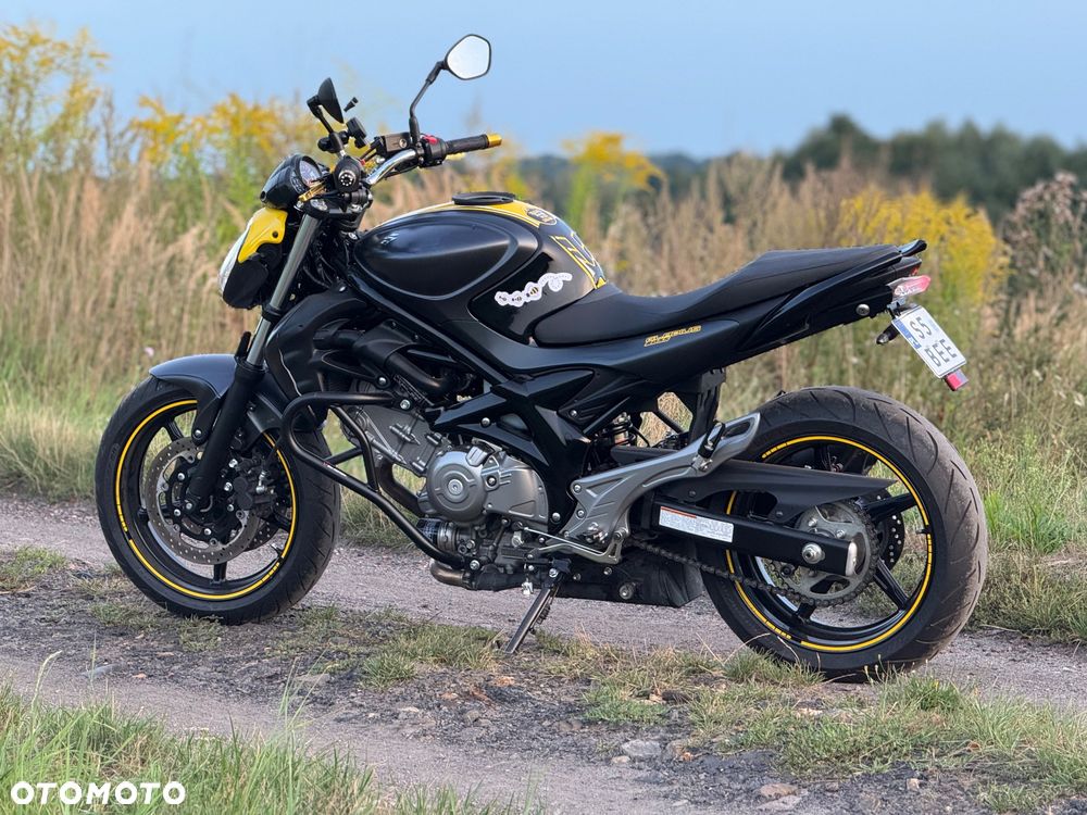 Suzuki Gladius - 2