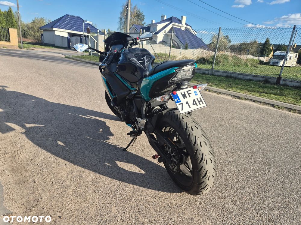Kawasaki Ninja - 10