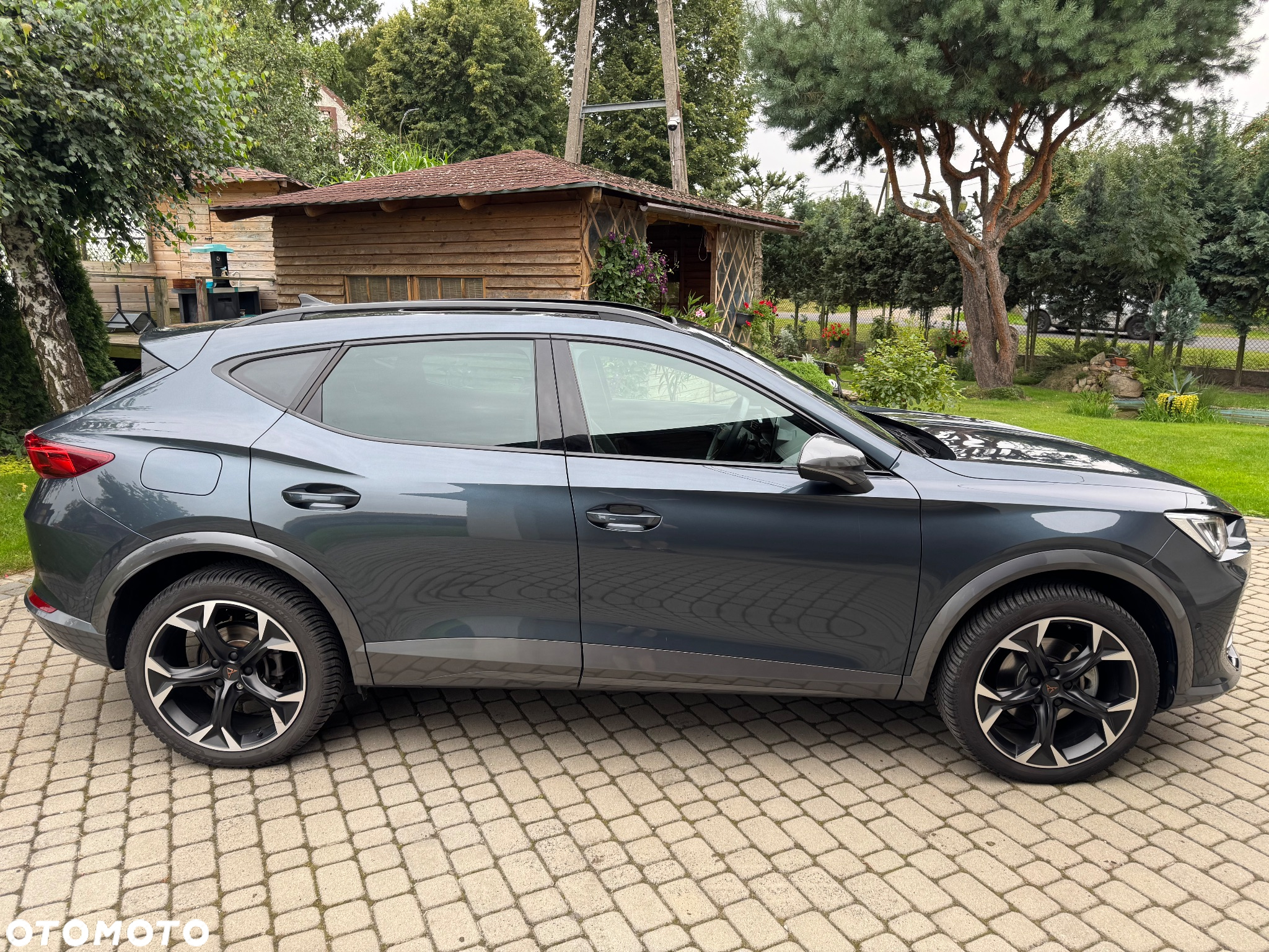 Cupra Formentor 2.0 TDI 4Drive DSG - 3
