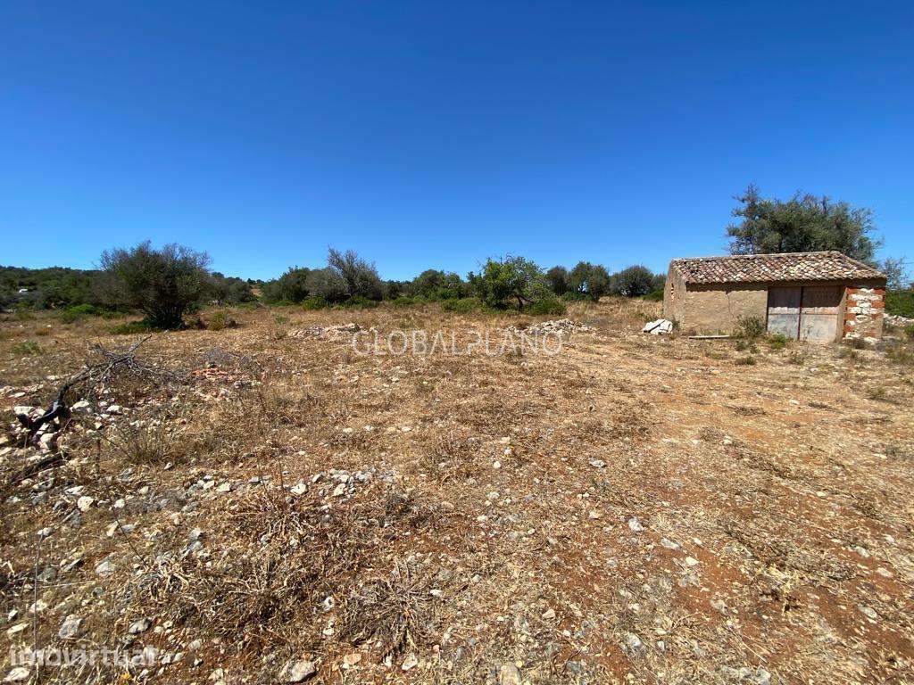Fantástico terreno rural com viabilidade de construção - Grande imagem: 3/8