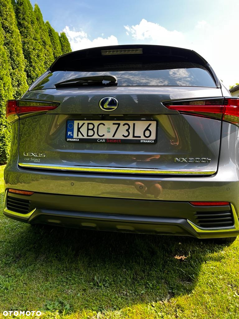 Lexus NX 300 Elegance AWD - 2