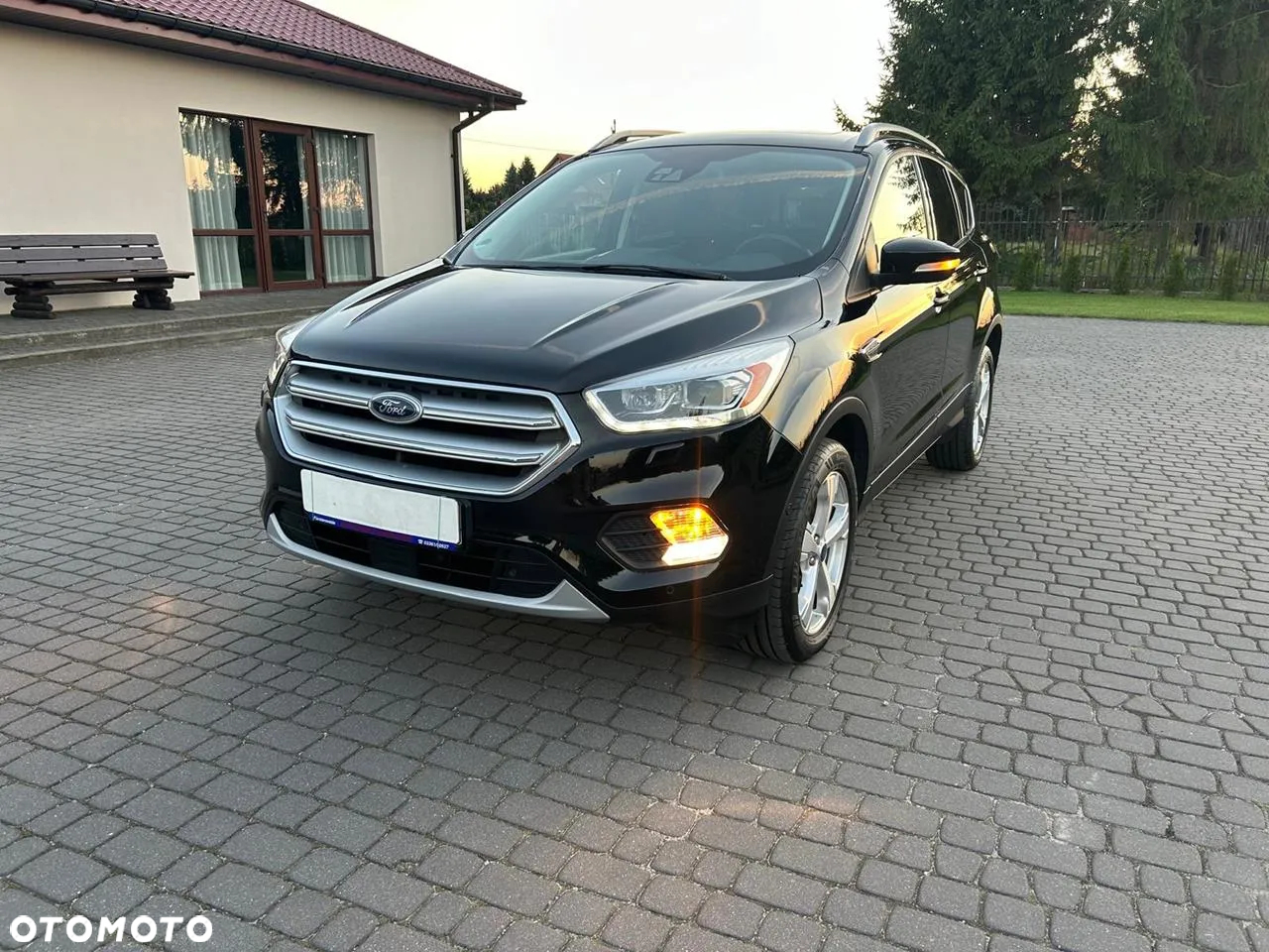 Ford Kuga 1.5 EcoBoost 4WD Titanium Plus - 5