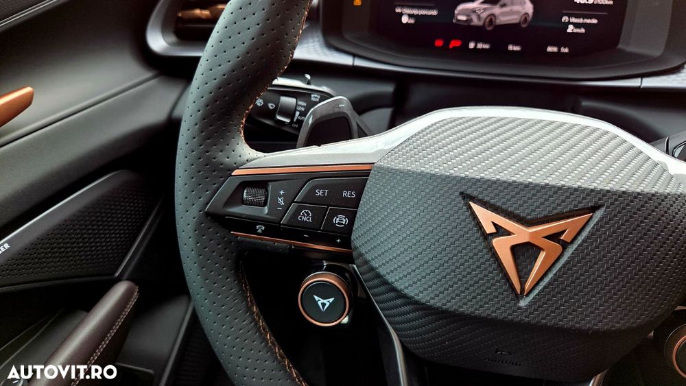 Cupra Terramar - 15