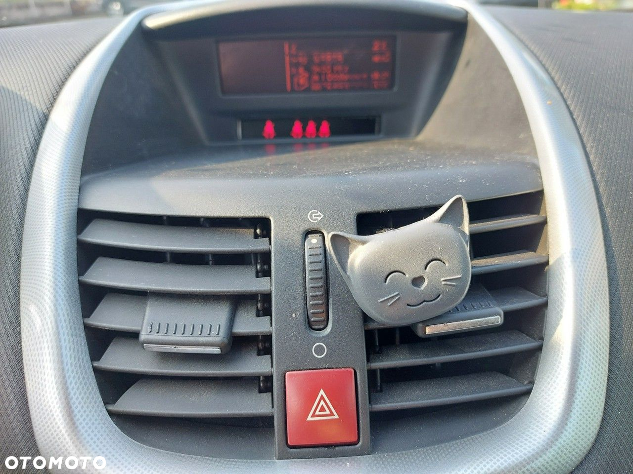 Peugeot 207 - 23