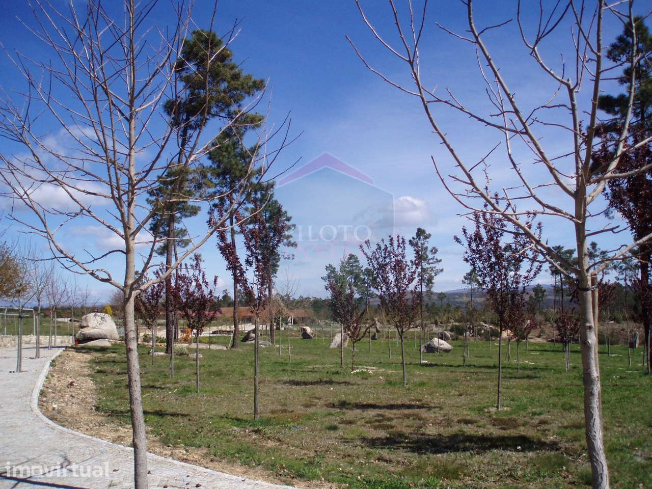Quinta  Venda em Bodiosa,Viseu - Grande imagem: 4/11