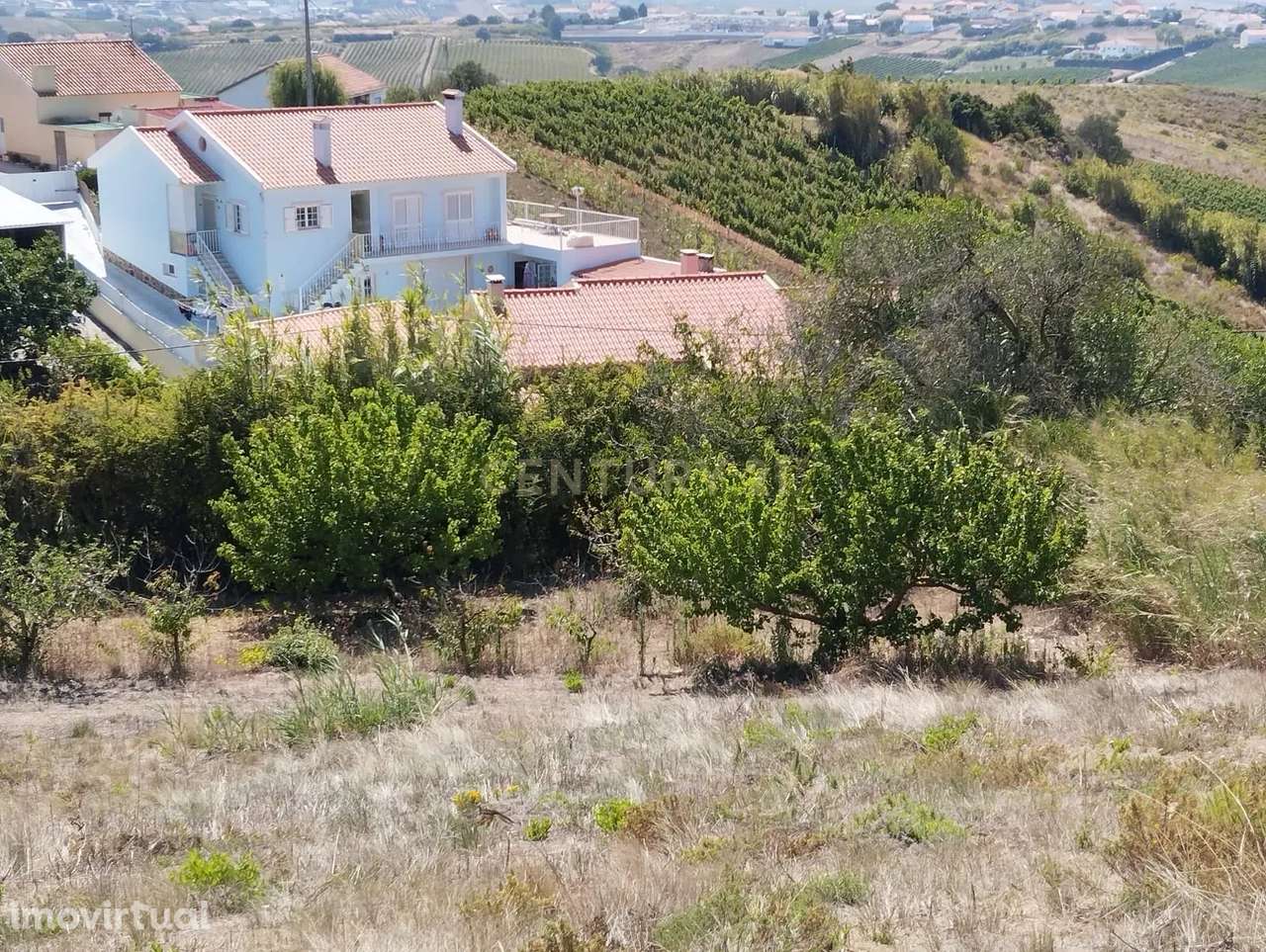 Terreno com viabilidade de construção - Vista desafogada - Grande imagem: 5/18
