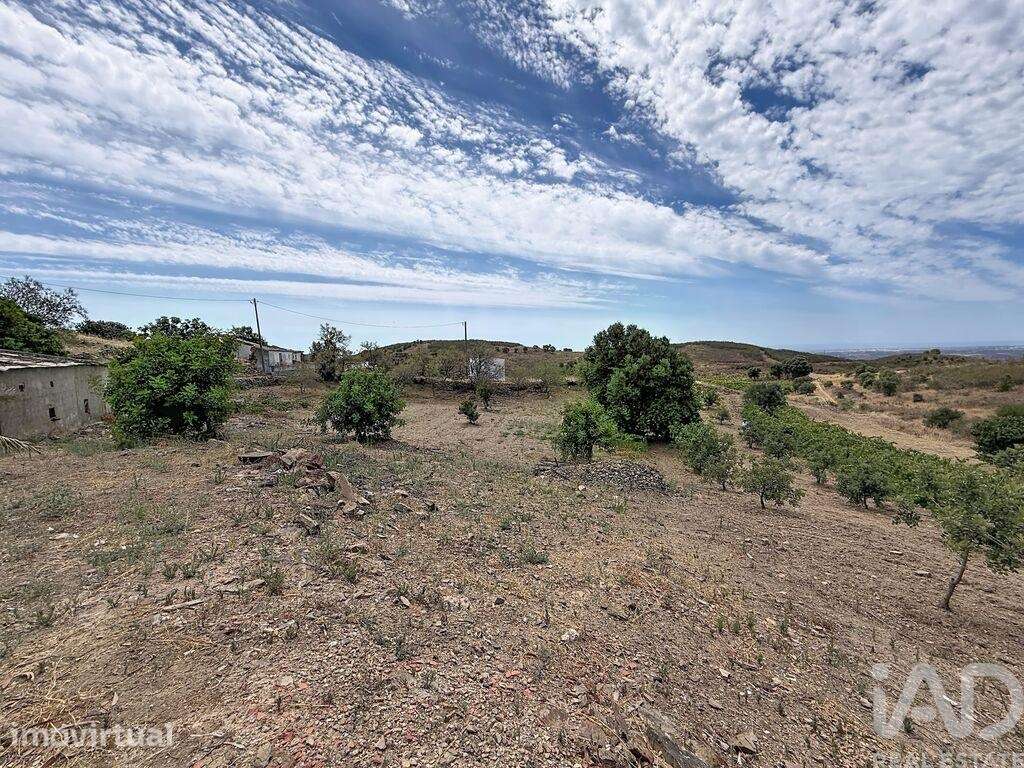 Moradia térrea em Conceição e Cabanas de Tavira de 39 m2 - Grande imagem: 5/6