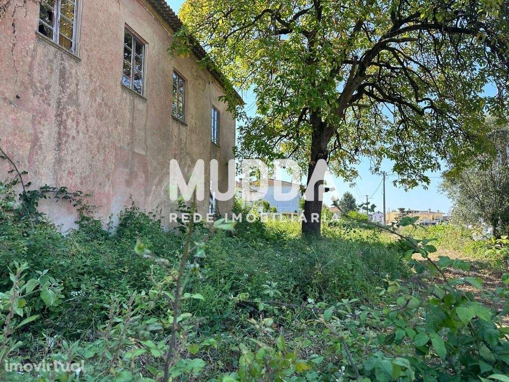 Ruína com terrenos, Branca, Albergaria-a-Velha - Grande imagem: 2/19