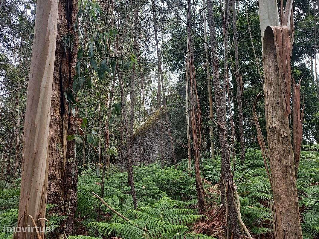 Terreno  para venda - Grande imagem: 5/10