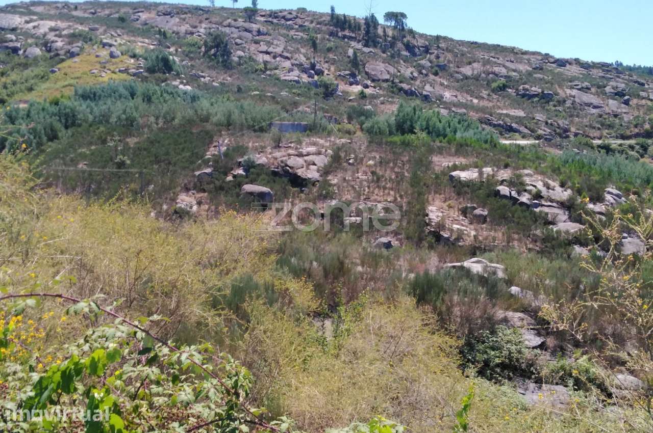 Terreno 6.000m2 em Lagares - Coimbra - Grande imagem: 3/15