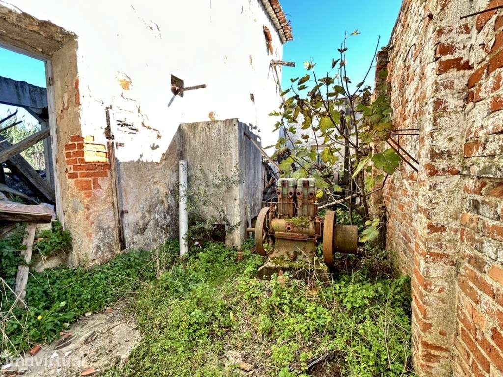Ruína de Antigo lagar com projeto aprovado e terreno de 16.000 m² -... - Grande imagem: 4/16