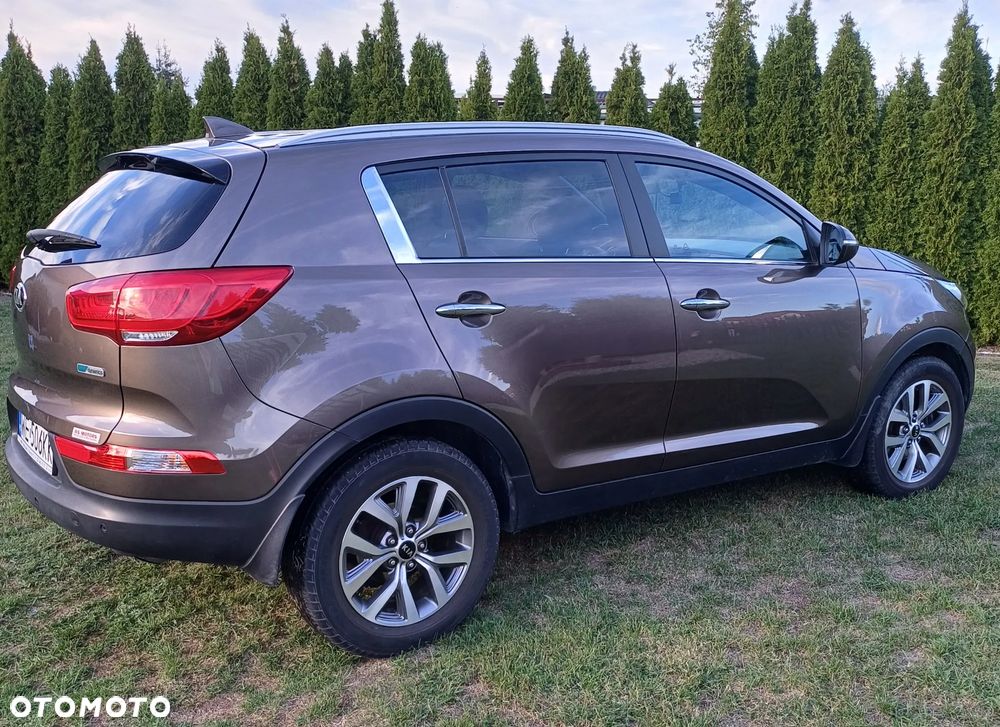 Kia Sportage 1.6 GDI XL 2WD - 2