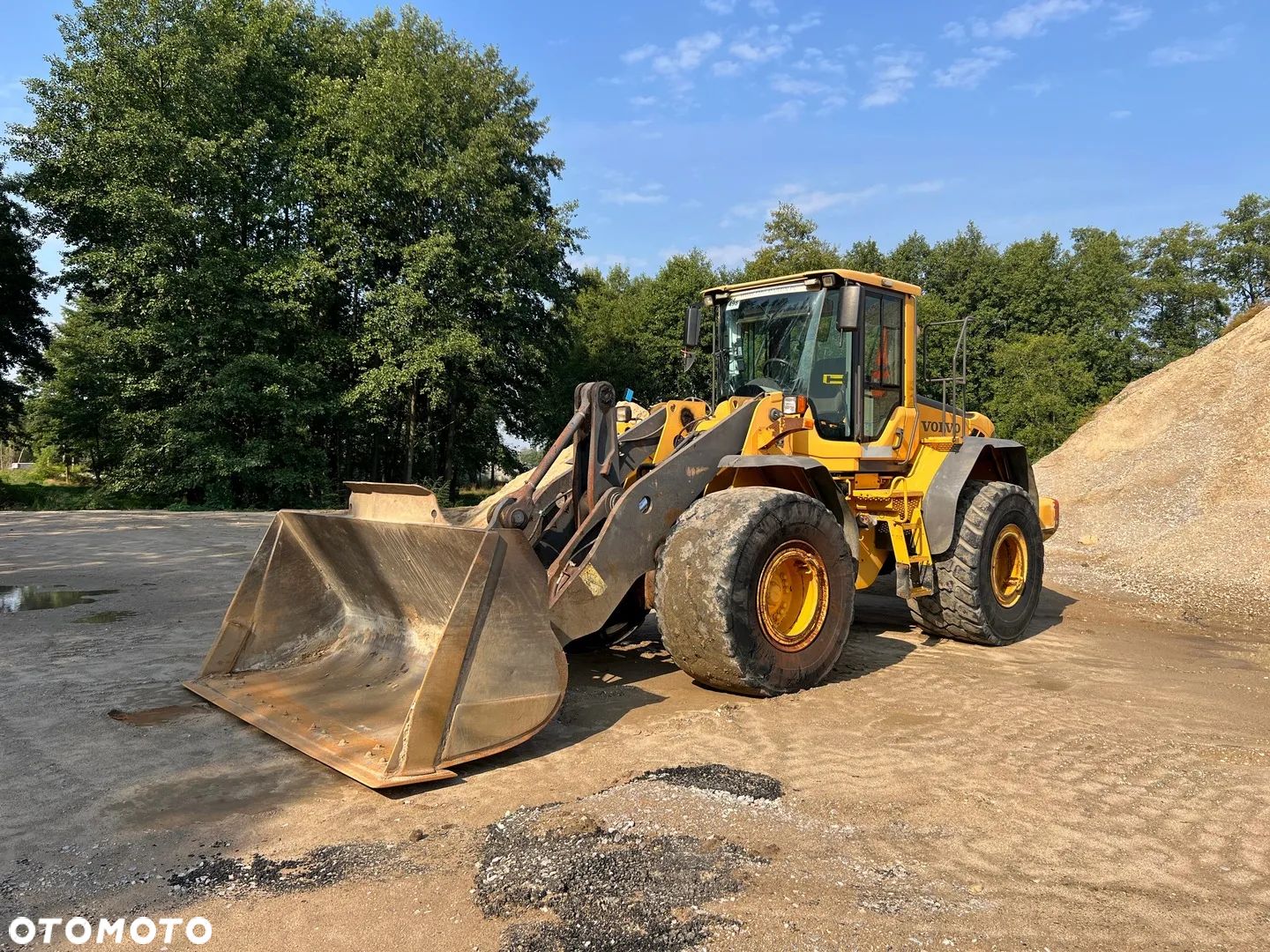 Volvo L110F - 1