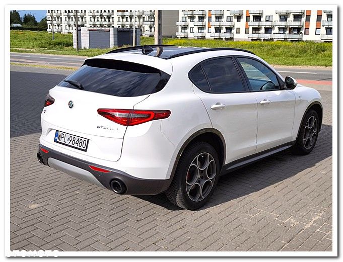 Alfa Romeo Stelvio 2.0 Turbo 16V AT8-Q4 Executive - 7