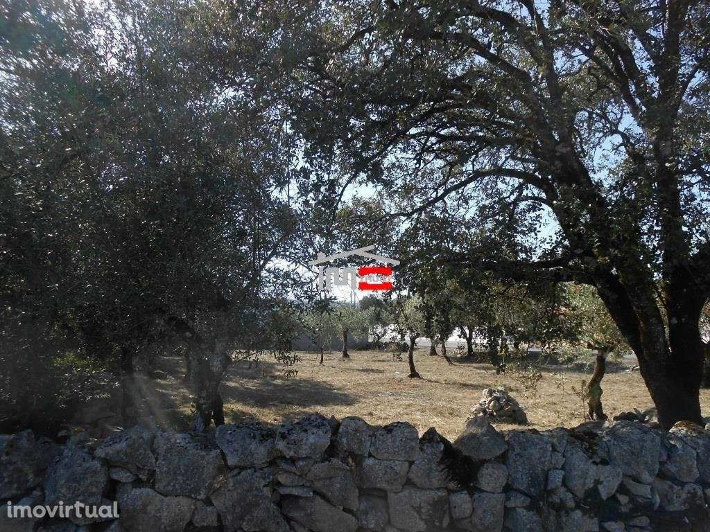 Terreno para construção - Grande imagem: 5/10