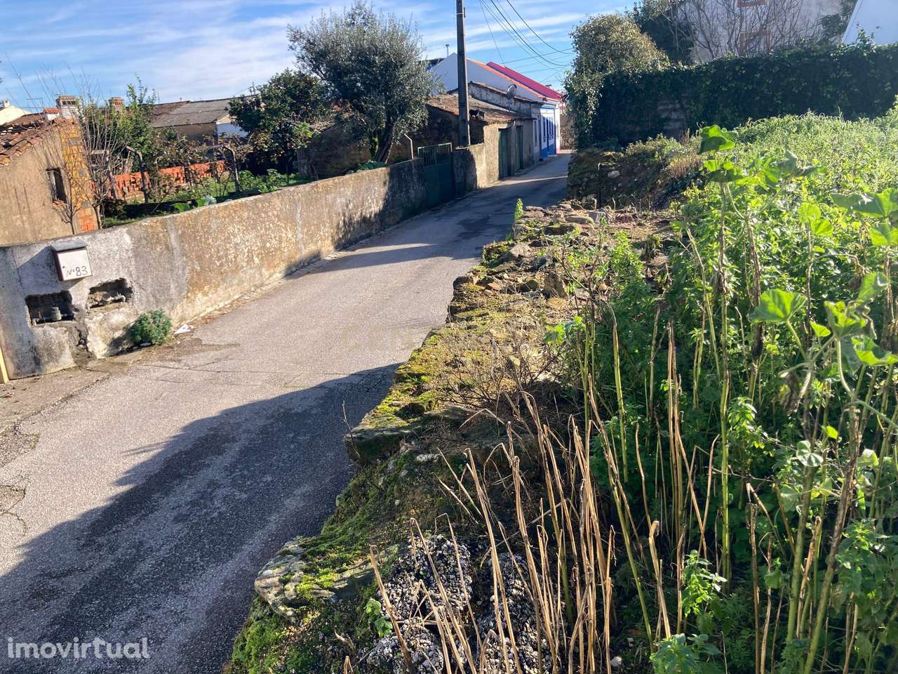 Terreno urbano em Souto, Abrantes - Grande imagem: 5/7
