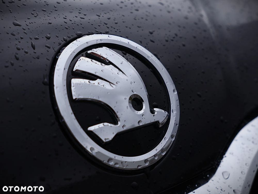 Skoda Kamiq 1.0 TSI Ambition DSG - 10