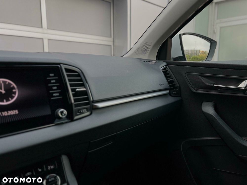 Skoda Karoq - 12