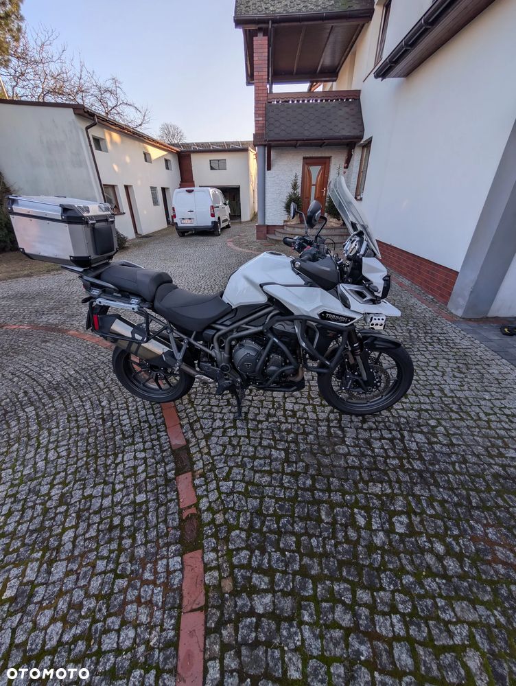 Triumph Tiger - 17