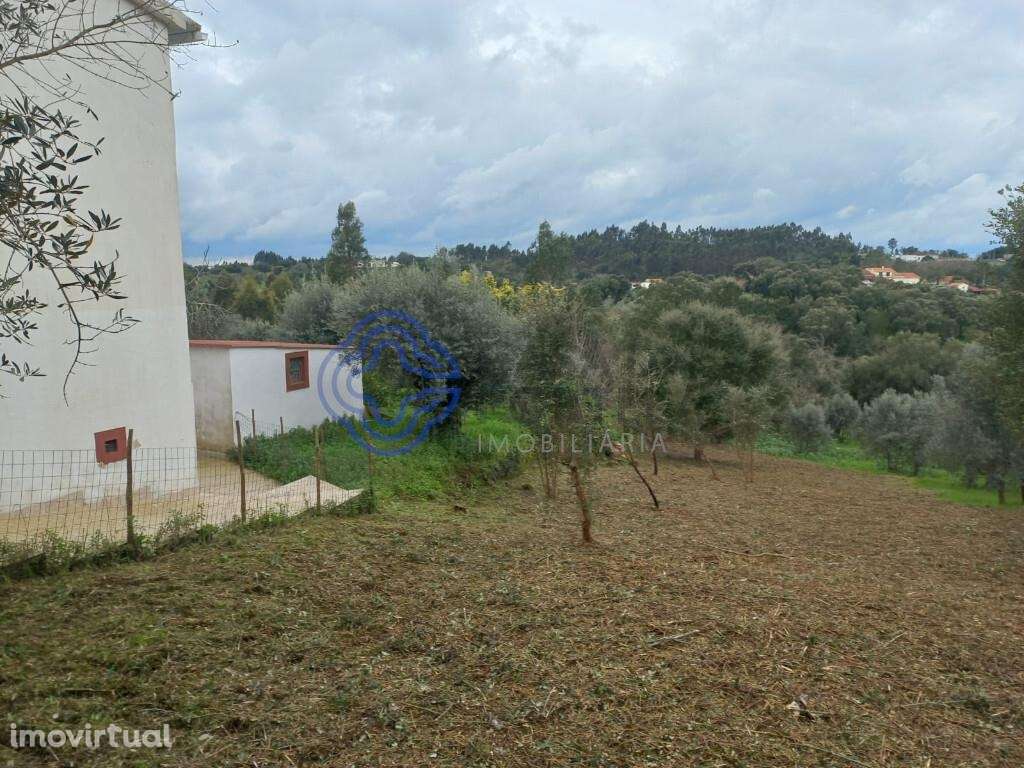 Terreno com possibilidade de construção com 600 m2 a 15 minutos de Tom - Grande imagem: 3/21