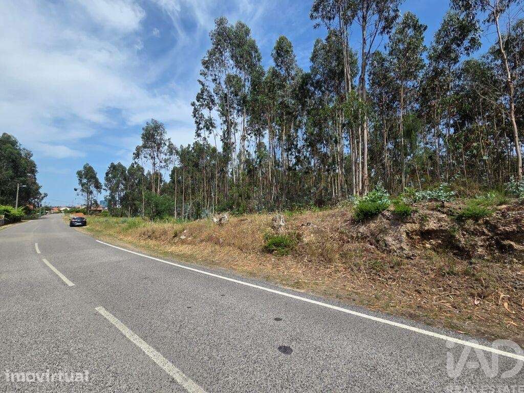 Terreno em São Joaninho - Grande imagem: 4/7