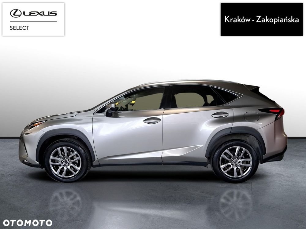 Lexus NX 300 Prestige AWD - 5
