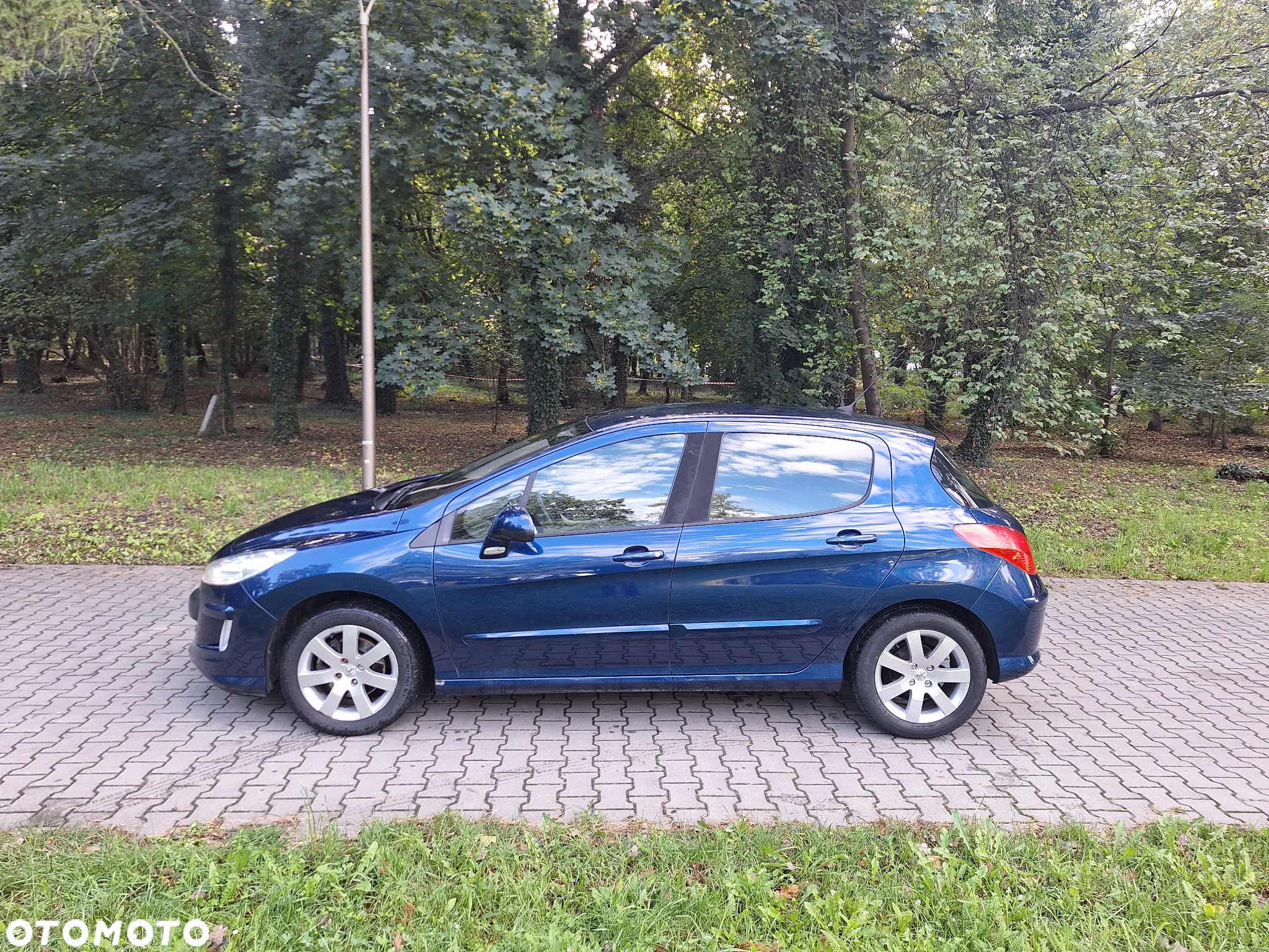 Peugeot 308 - 14
