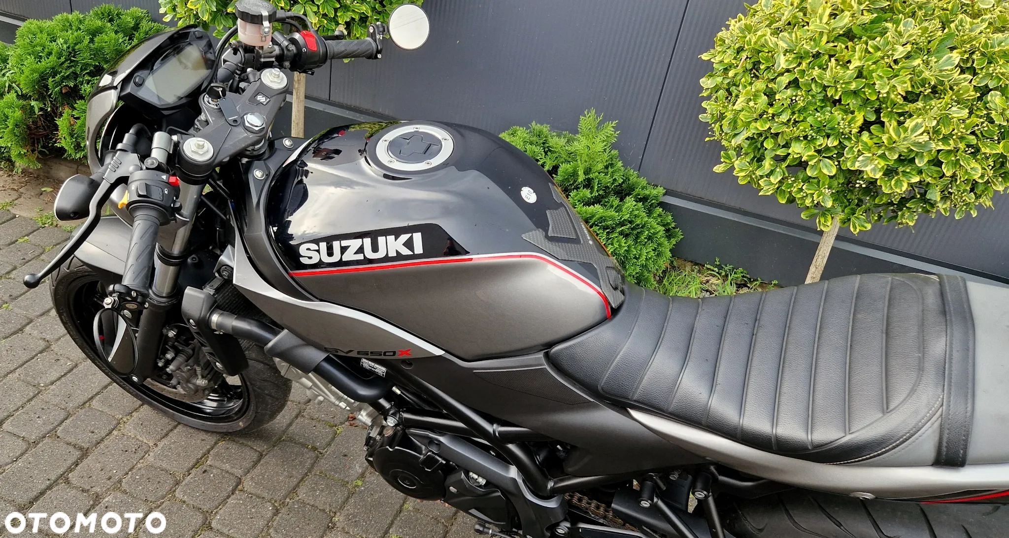 Suzuki SV - 21