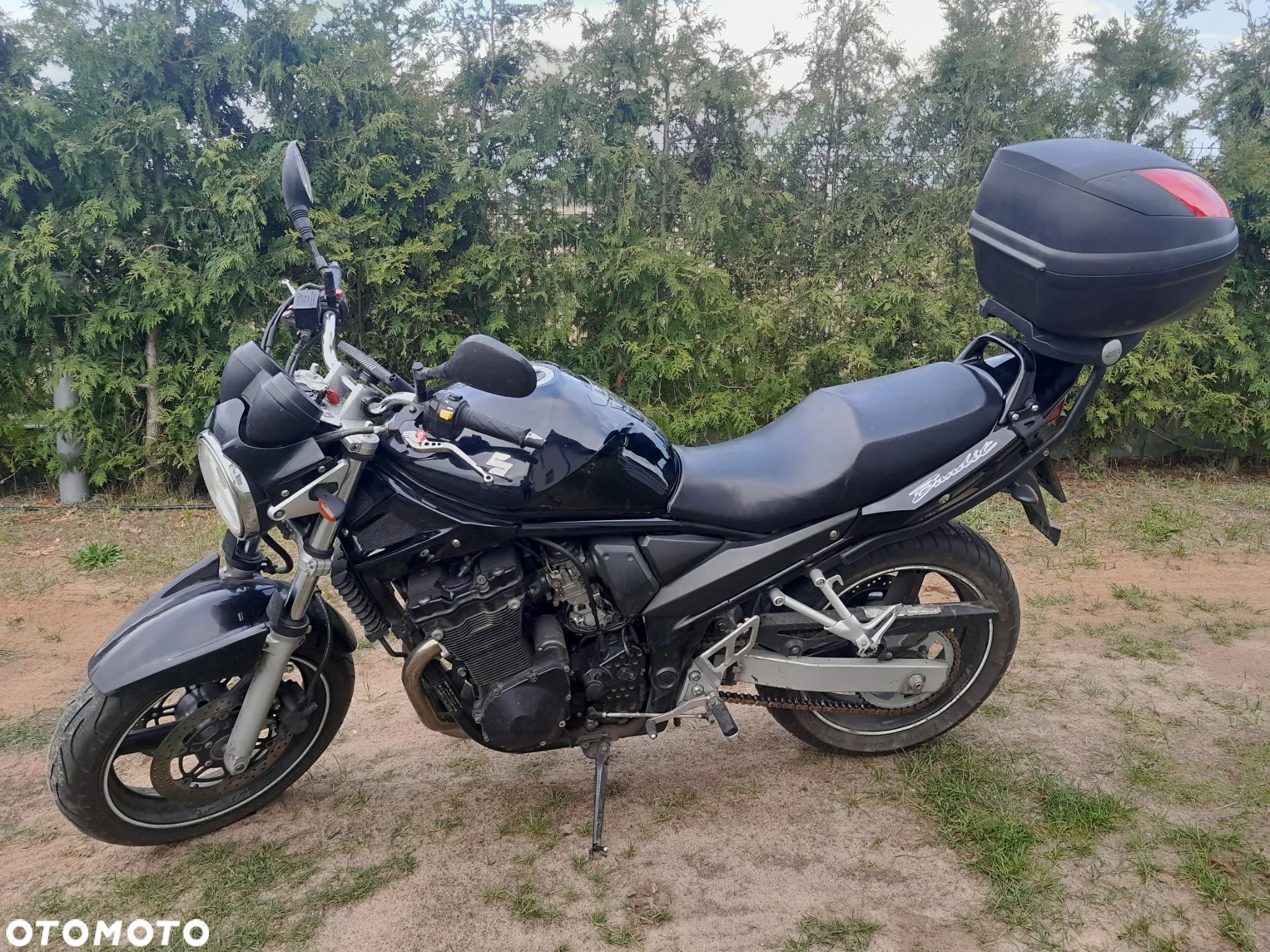 Suzuki Bandit - 1