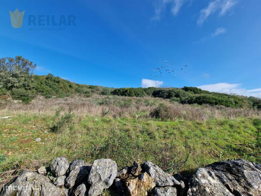 São João dos Montes - Terreno 5.640 m2 - Grande imagem: 3/9