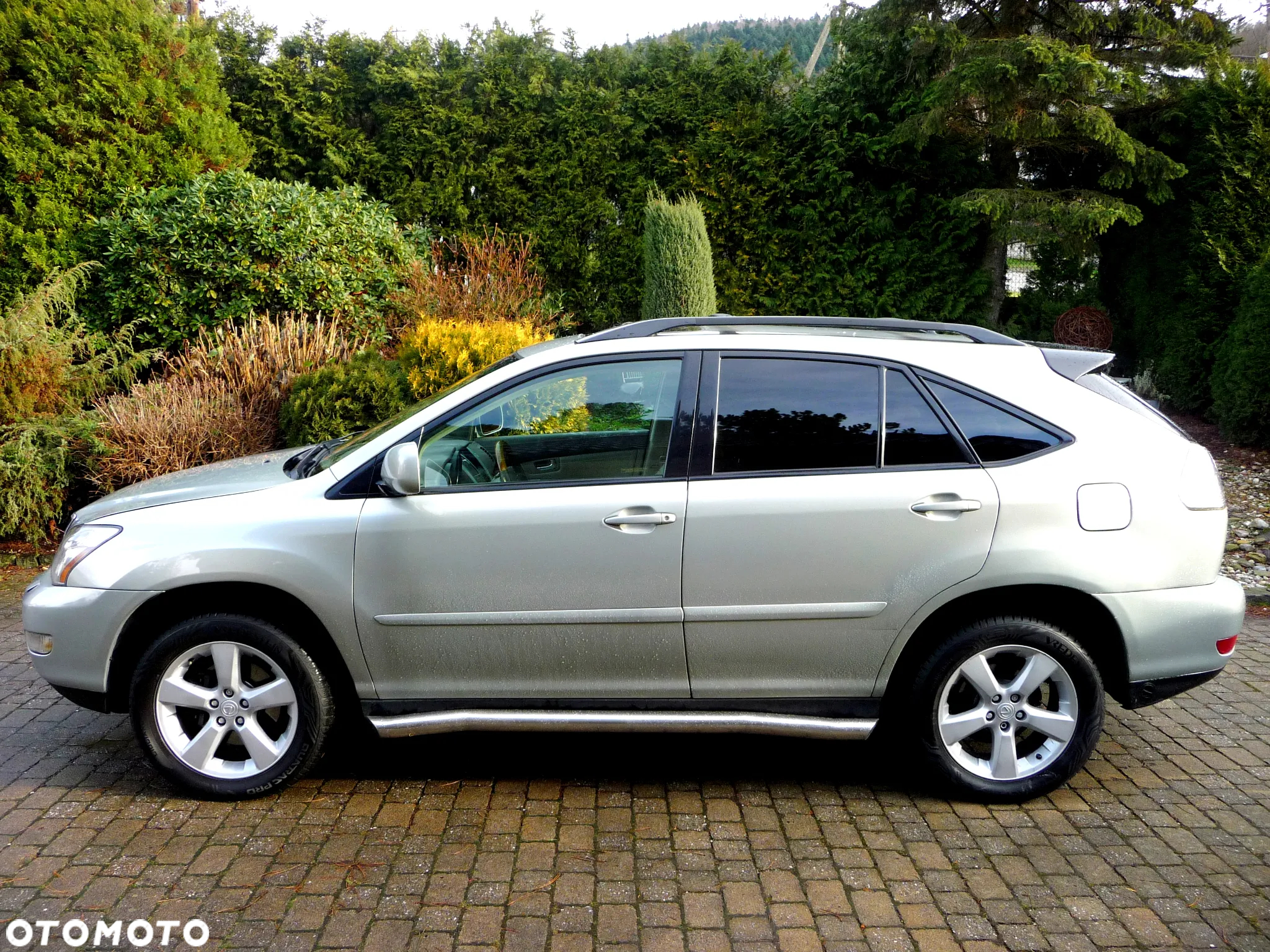 Lexus RX 330 - 25