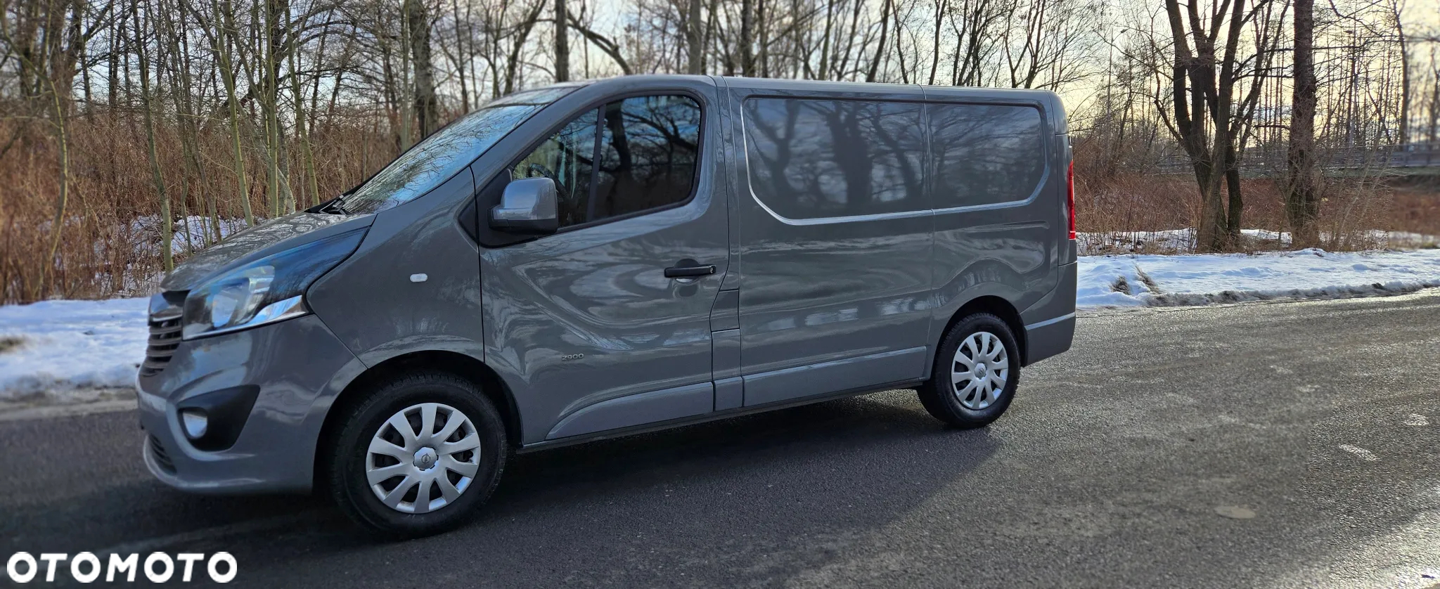 Opel Vivaro L2H1 2.9t Edition - 6