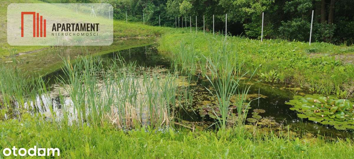 Obniżka !!!Dom nad rzeką dz. 2924 m²  Natura 2000 - Pełny obrazek: 3/20