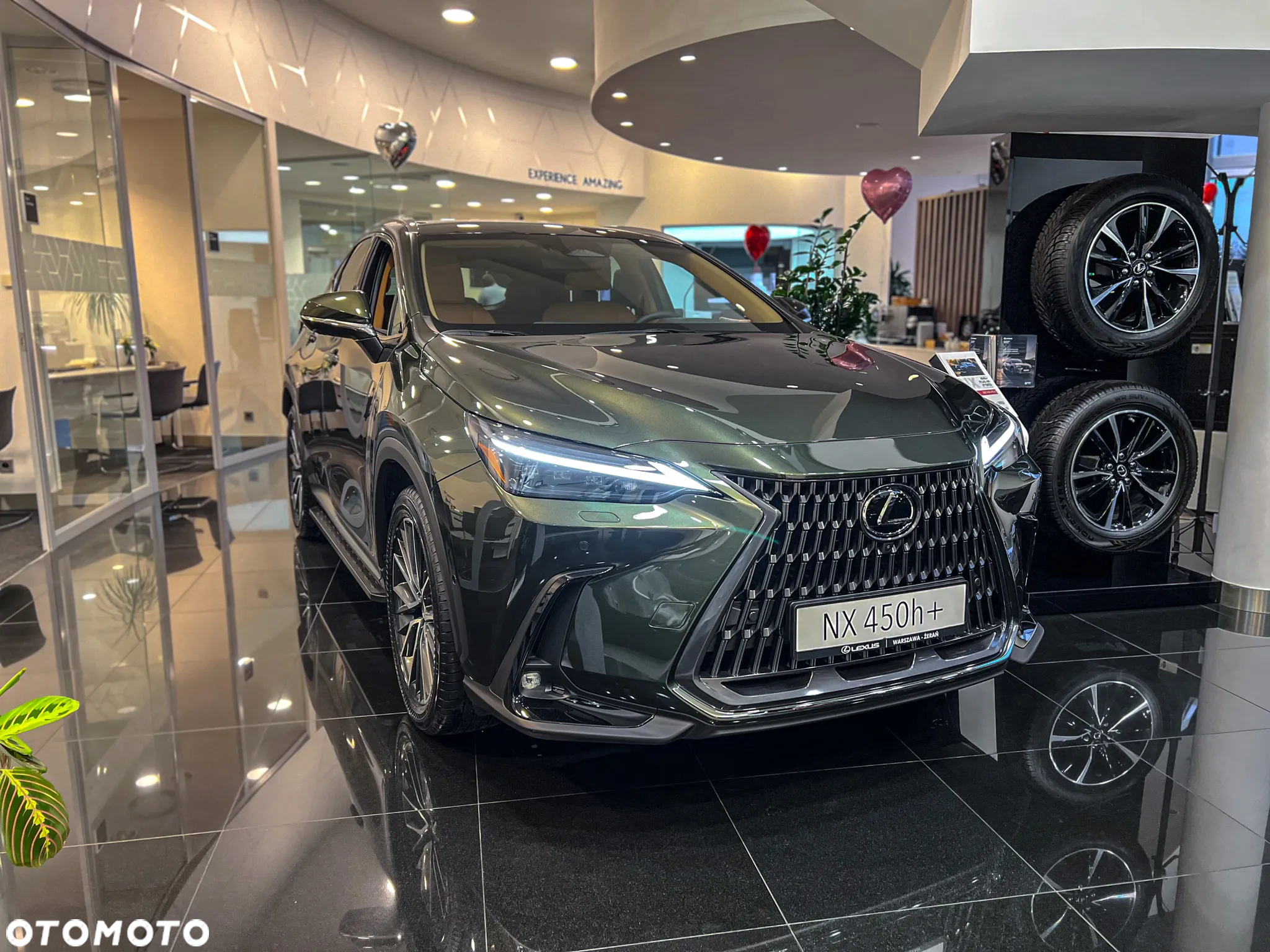 Lexus NX - 6
