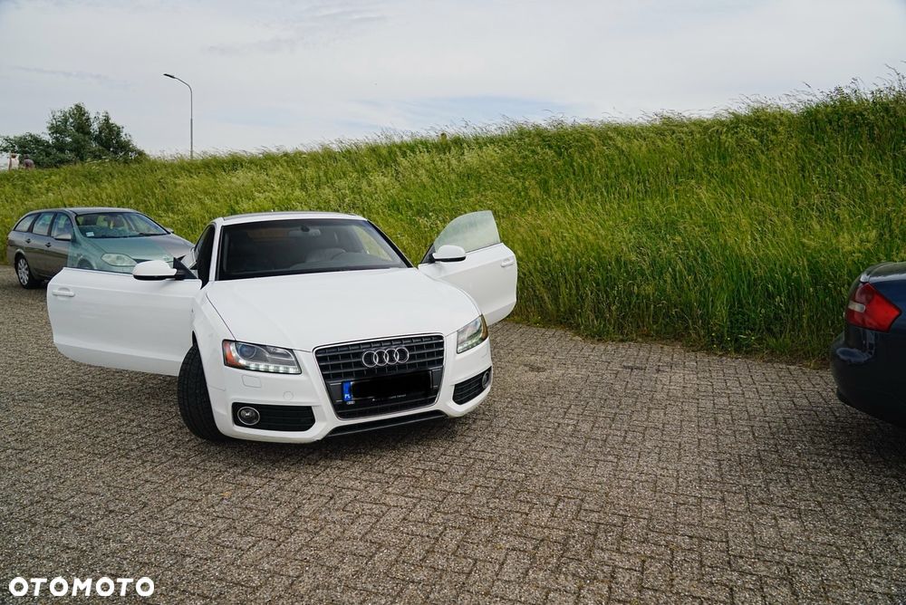 Audi Inny - 6