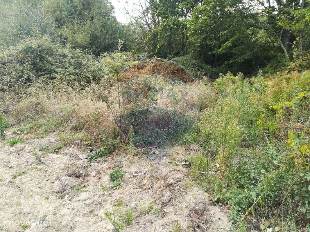 Terreno  para venda - Grande imagem: 3/5