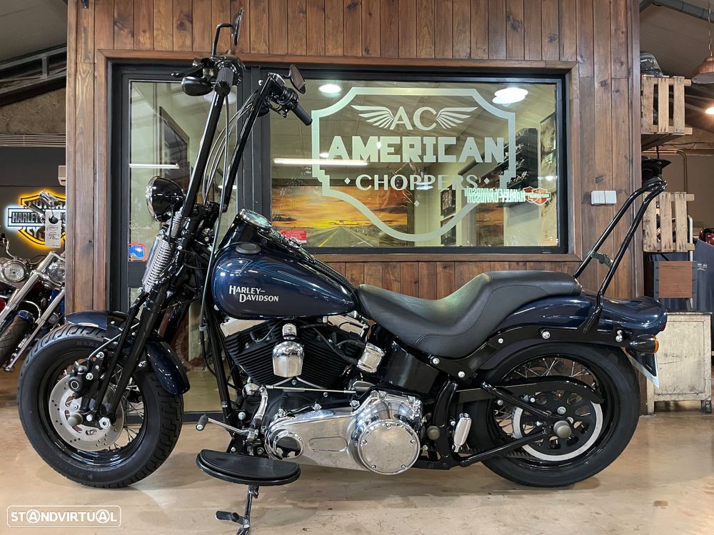 Harley-Davidson FLSTS Crossbones - 23
